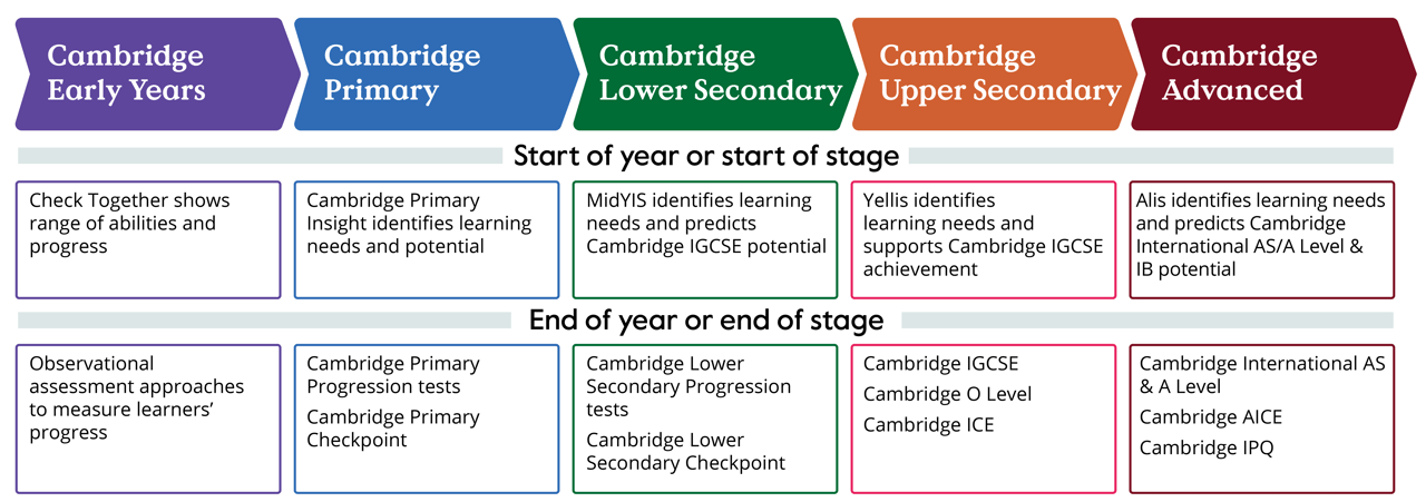 IE brochure pathway diagram