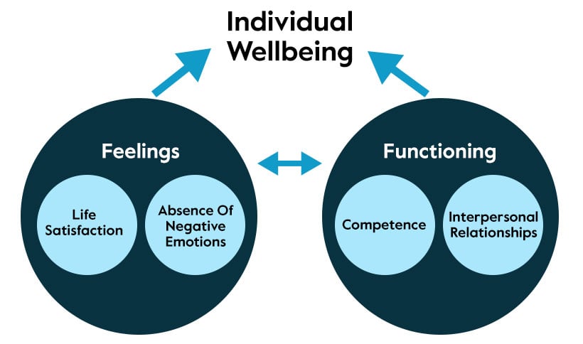 individual-wellbeing-flowchart