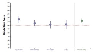 case-study-cedar-school-graph-yellis