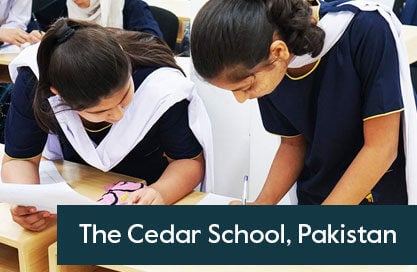 case-study-cedar-yellis-thumbnail
