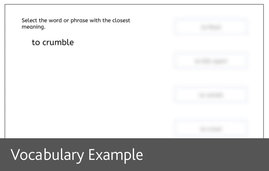 Vocabulary example screenshot