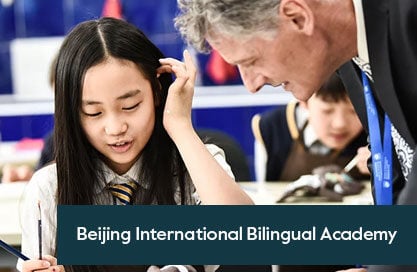 Gore iliac branch device image