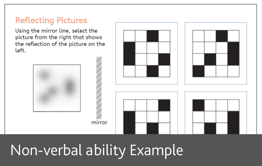 Non-verbal ability example screen