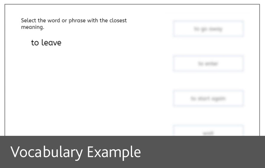 Vocabulary example screenshot